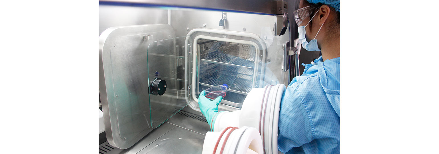 细胞培养隔离器